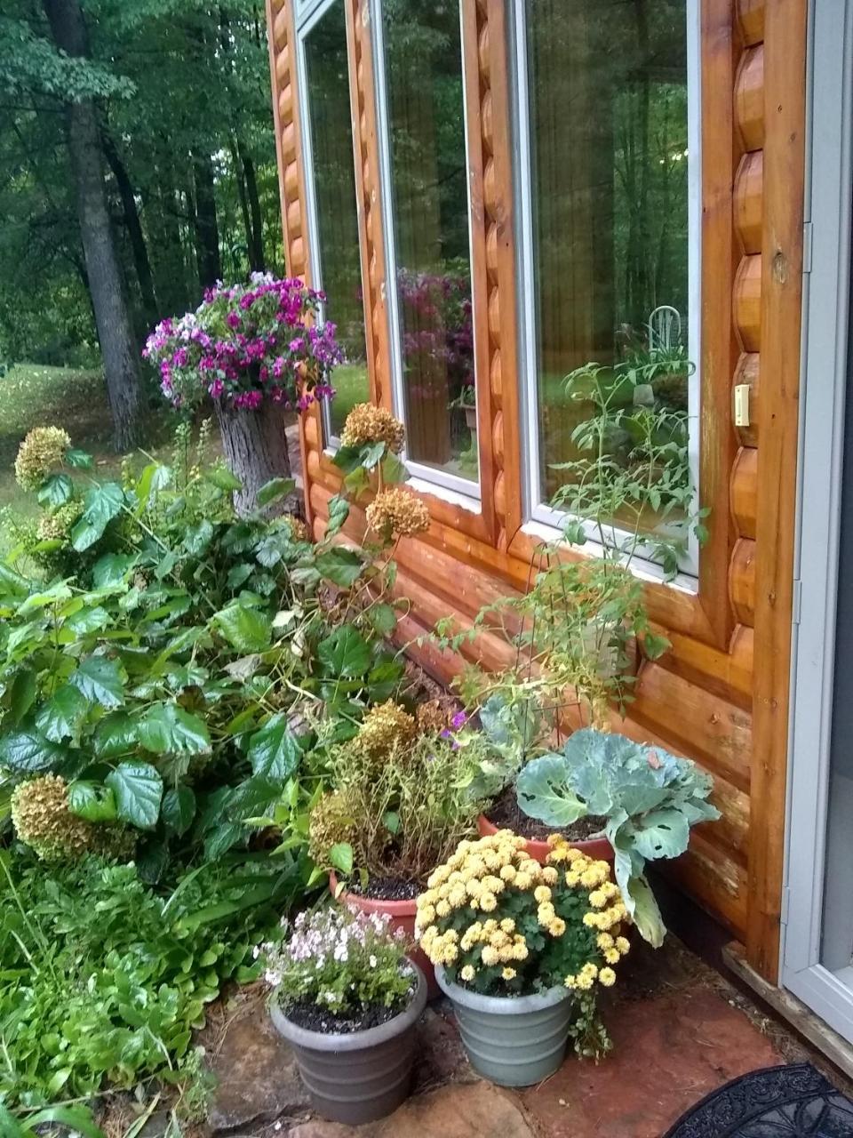 Bed And Breakfast Suite At The Wooded Retreat Pine City Bagian luar foto